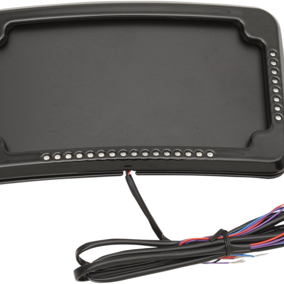 Curved 3-Hole License Plate Mount Frame with Lights for Harleys
