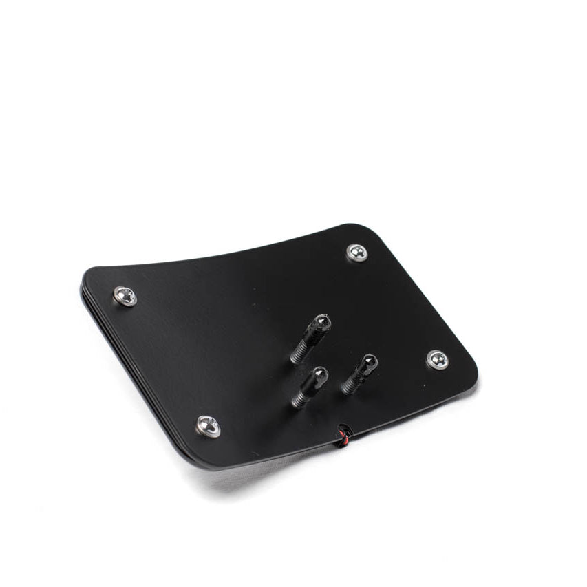 Curved 3-Hole License Plate Mount with Lights for Harley Davidson Motorcycles