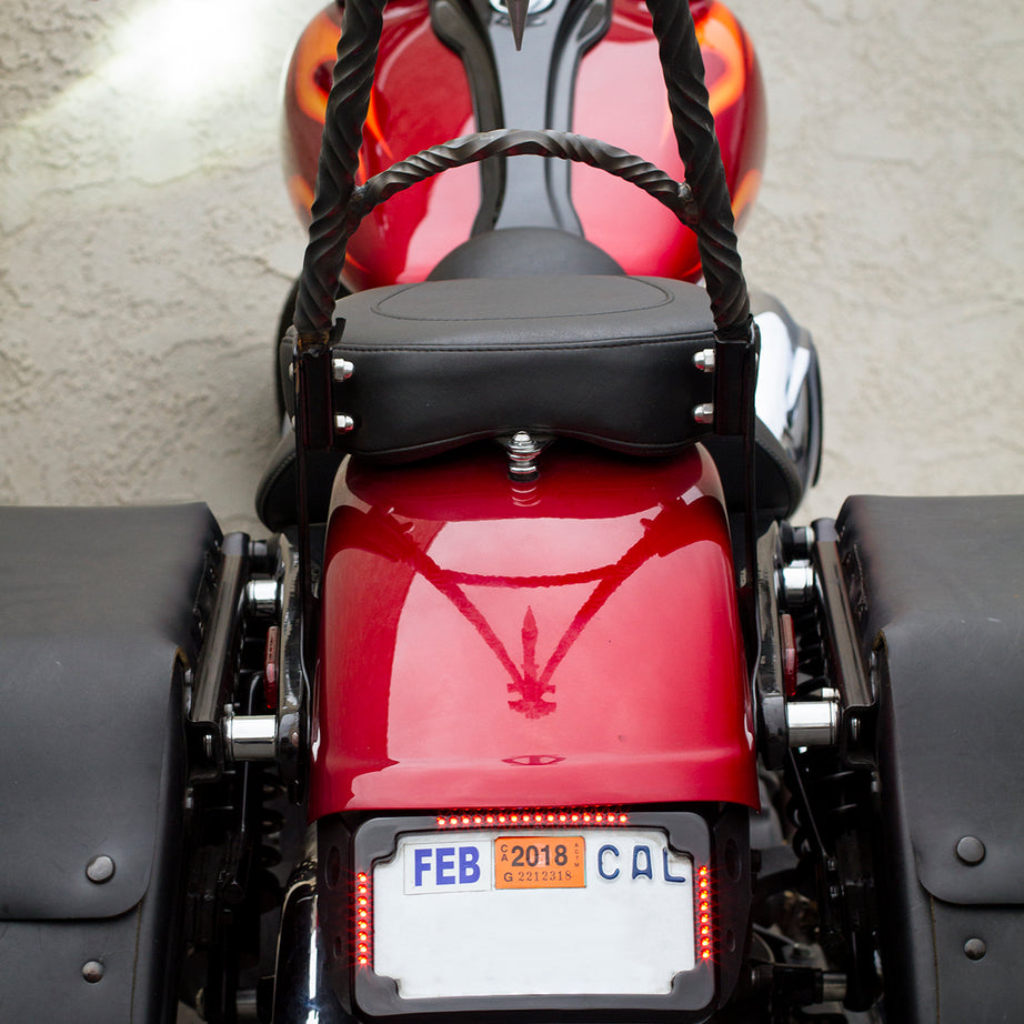 Curved License Plate Relocation for Harley Davidson Dyna models